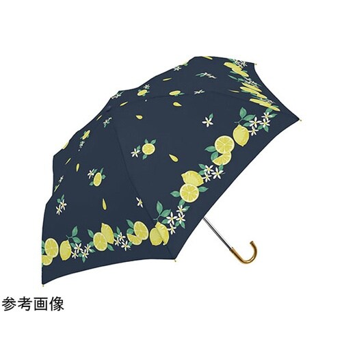 MKN シルバーコーティング雨晴兼用 5