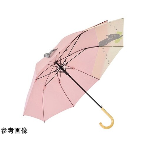 MKN 60cmジャンプ バックスライド