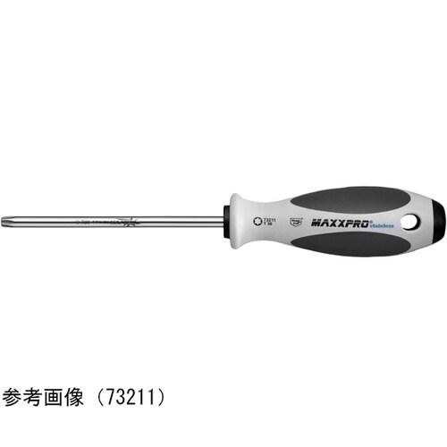 ステンレストルクスドライバー T40X1