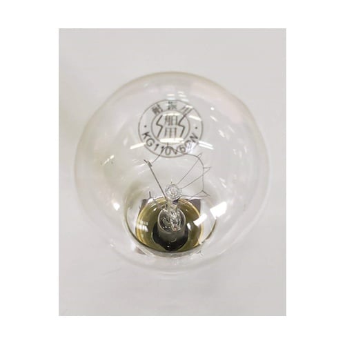 センパクキュウ 110V 60W KG1