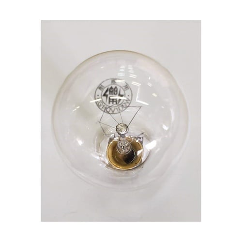 センパクキュウ 110V 100W KG