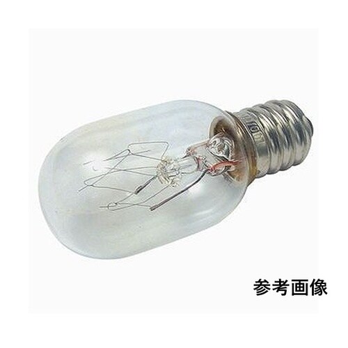 ナツメ球 110V/10W T20E12