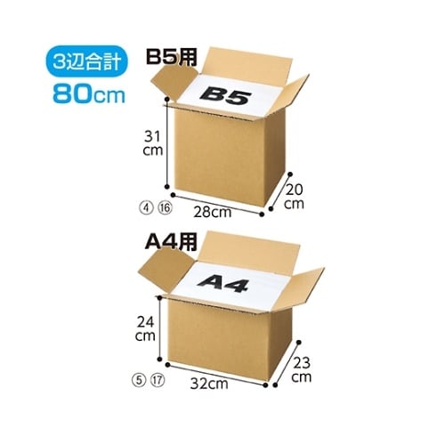 61−318−2−4ダンボール 10枚入