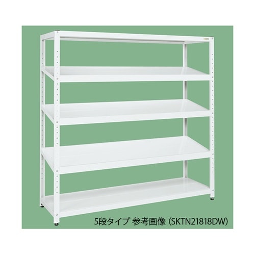 TSKTN21290DW サカエラック