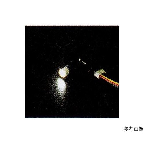 LED−W−12V LEDランプ白12V