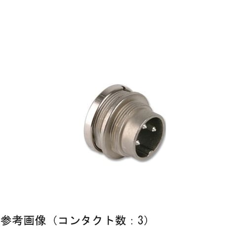 C091 31W004 1002 プラグ