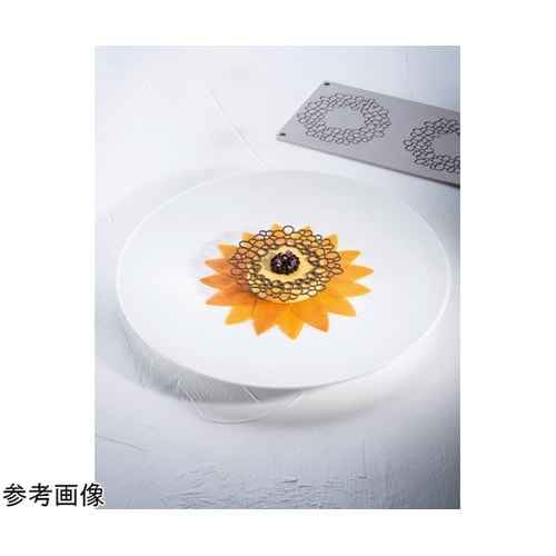 グラマンド ジャスミンフレーム GG06