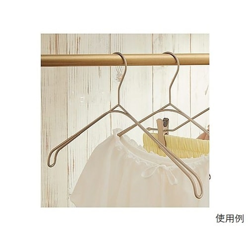 スマートハンガー ホワイトニッケルトップ