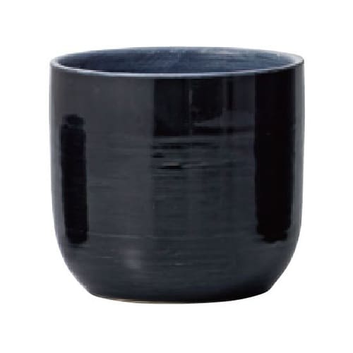 verite(ヴェリテ)ブラック 11.