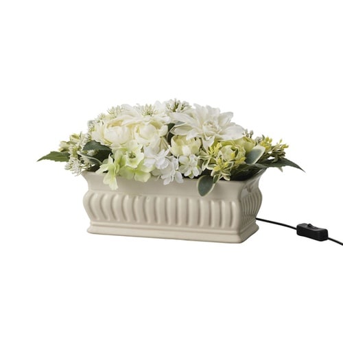 Fleur de gratitude(フ