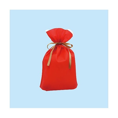 フロンティア 不織布リボン付きギフトバッ