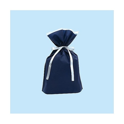 フロンティア 不織布リボン付きギフトバッ