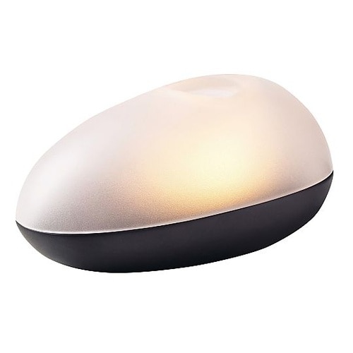 オーガニックハリケーン 4751589