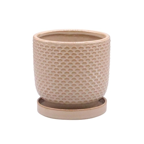 植木鉢 ニードポット Aタイプ Lサイズ ブラウン