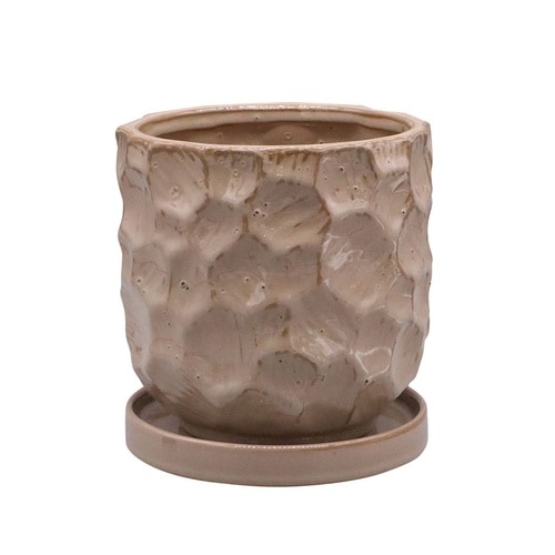 植木鉢 ジェロポット S 受け皿付き ベージュ