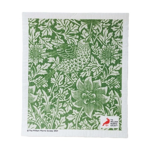 スポンジ バードアネモネ 吸水