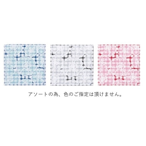 小さめタオルハンカチ 色込み600枚入