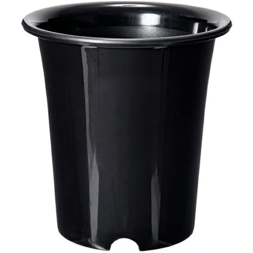 洋ラン鉢 6号 ブラック