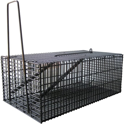 ブラック角型ハウス