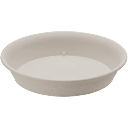 エコル プレート 6号 W