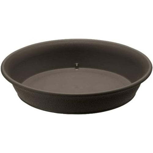 エコル プレート 6号 DG