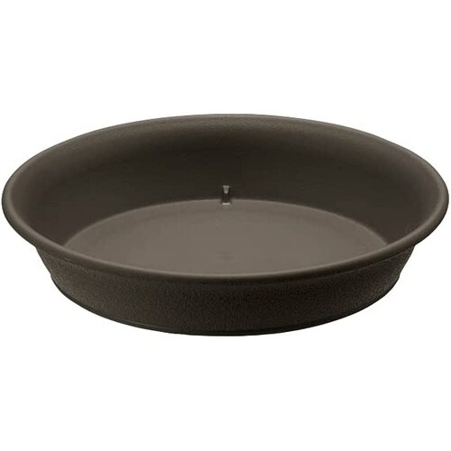 エコル プレート 7号 DG