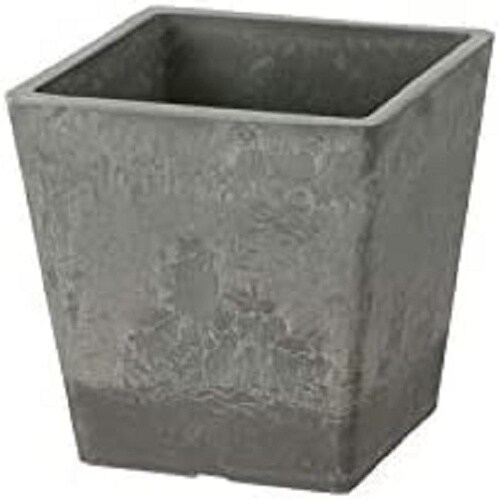 ボタニー スクエアポット 10型 LG