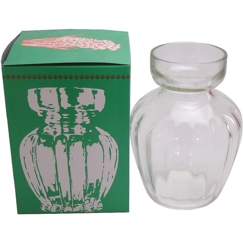 ヒヤシンス瓶 箱入り クリア