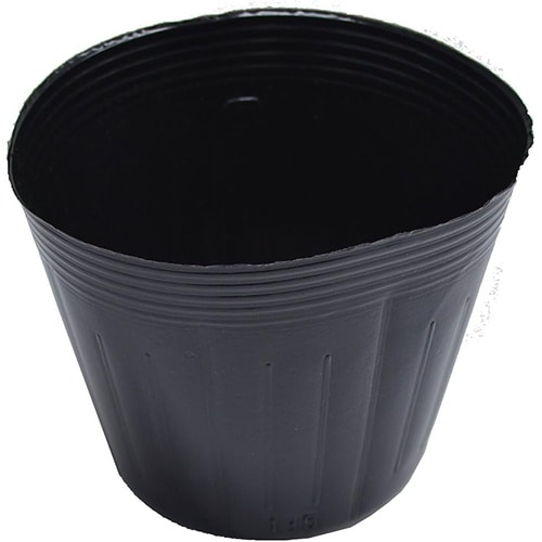 ポリポット 100P(ポリ鉢 黒) 13.5cm