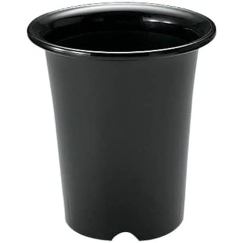 洋ラン鉢 6号 BK