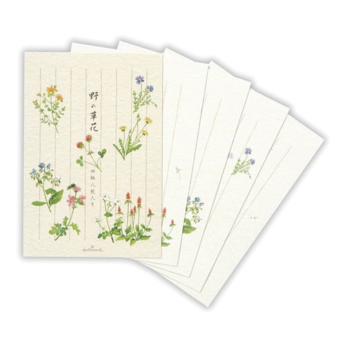 葉書箋野の草花×6