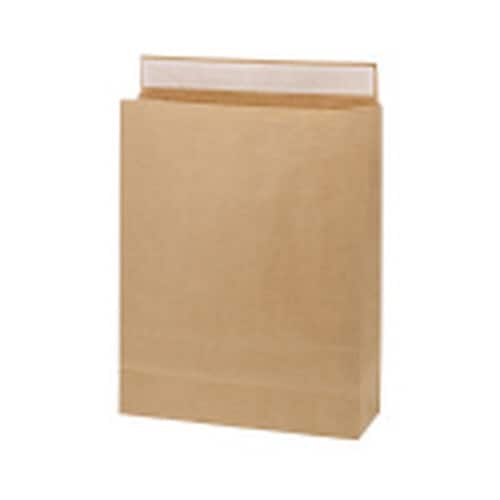 宅配袋 Eタイプ L 未晒無地 50枚×3