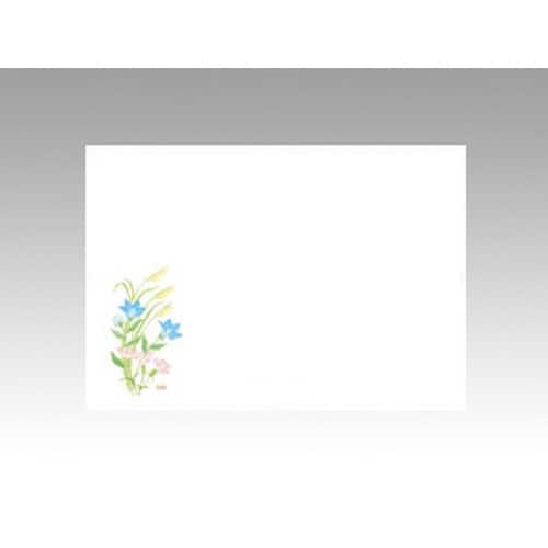 テーブルマット 上質−104 秋の草花