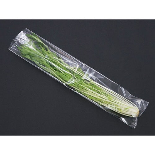平袋(青果)FG20#100×450 穴無 P入