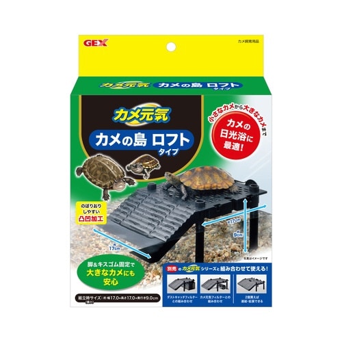 カメ元気カメの島ロフトタイプ