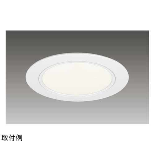 2500ユニット交換形DL白色深形 LE