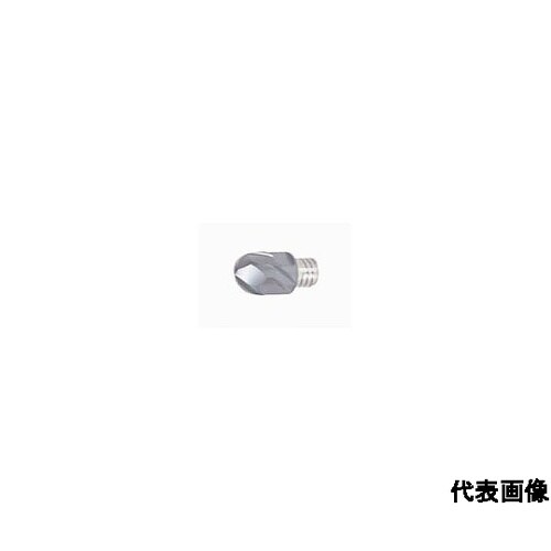 タング・マイスター用ヘッド 研削級2枚刃