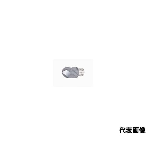 タング・マイスター用ヘッド 研削級2枚刃