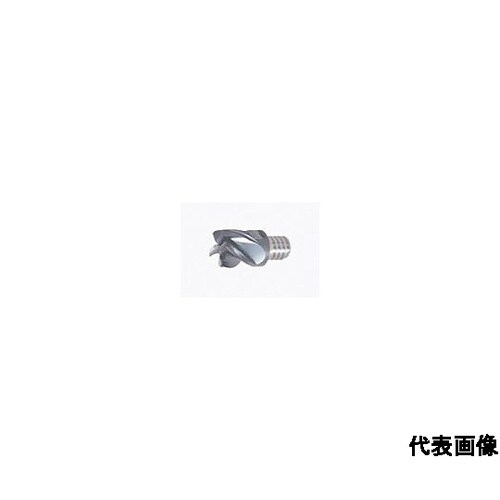 タング・マイスター用ヘッド 4枚刃 スク
