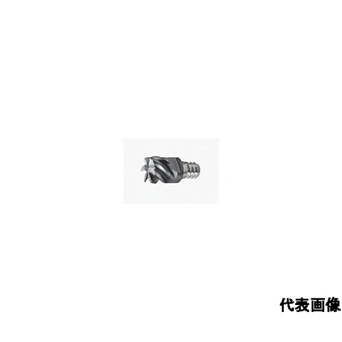 タング・マイスター用ヘッド スクエアタイ