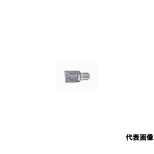 タング・マイスター用ヘッド 2枚刃 座ぐ