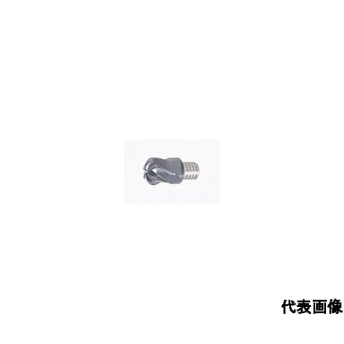 タング・マイスター用ヘッド 研削級6枚刃