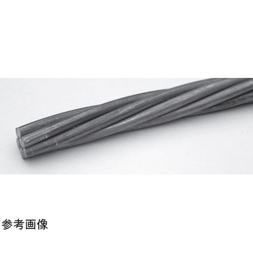鋼 メッセンジャー 22sq 1巻(10