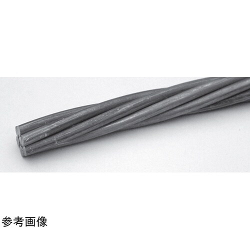 鋼 メッセンジャー 30sq 1巻(10