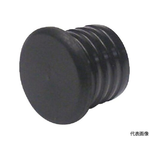 パイジョン 1袋(2個入) PMC10