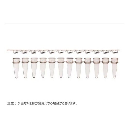 12連PCRチューブ & 12連チューブ