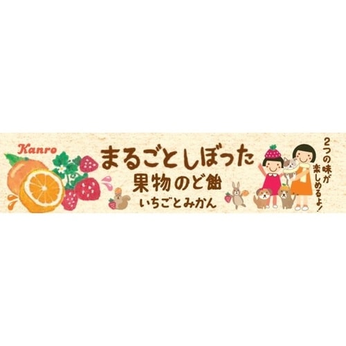 まるごと果物のど飴いちごとみかん 11粒 x10