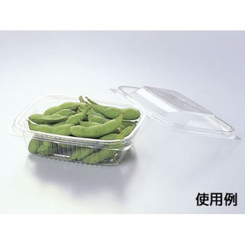 Fカップ C−25P×16