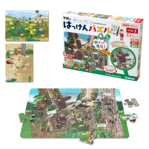はっけんパズル(むし)×3