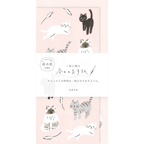 今日のお手紙 ねこ×5